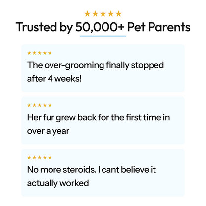 Healthy Petz Premium Cat Collagen
