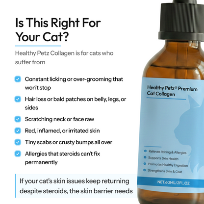 Healthy Petz Premium Cat Collagen